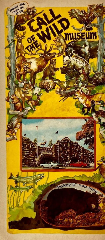 Call of the Wild - 1974 Promo (newer photo)